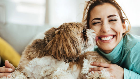 Dog names: choose the one that best suits your furry friend!