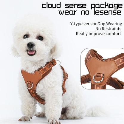 rabbitgoo Dog Harness  Leash Set, Step in Soft Light Puppy