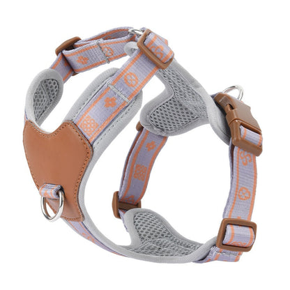 rabbitgoo Dog Harness  Leash Set, Step in Soft Light Puppy
