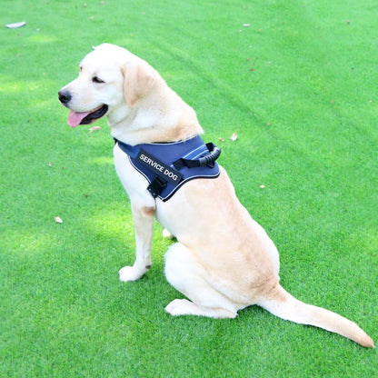Dog Leash with Chest Strap Vest