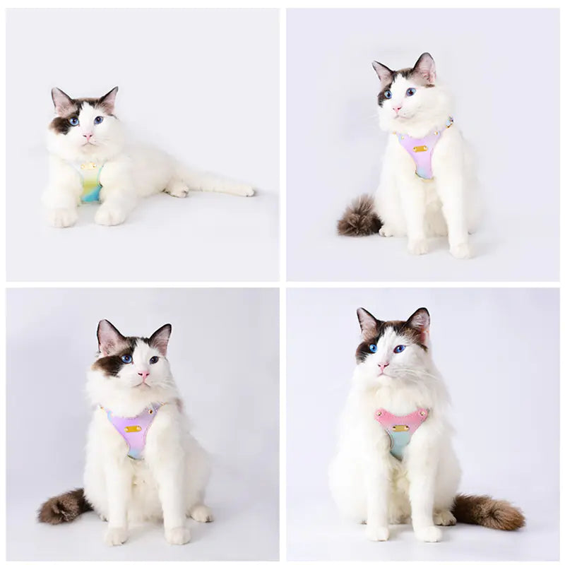 Adjustable Waterproof Leather Pet Harness for Small Cats