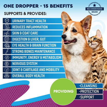 Cat & Dog Multivitamin Liquid with Glucosamine & Cranberry