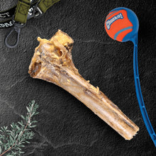 Large Ostrich Cane : The Ultimate Long-Lasting Chew for Medium, Large & XL Dogs