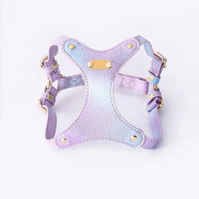 Adjustable Waterproof Leather Pet Harness for Small Cats