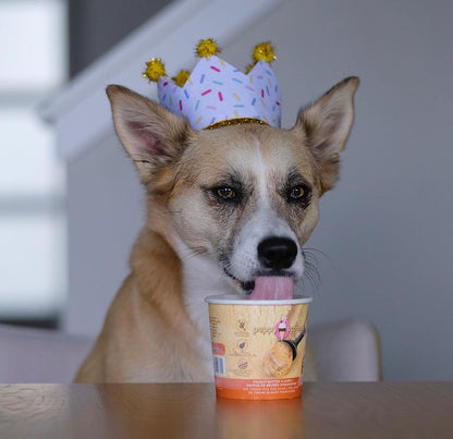 Puppy Cake Scoops Ice Cream Mix Peanut Butter Pint Large 4.65oz