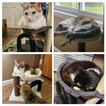 27.8" Multi-Level Cat Tree Tower – Durable Indoor Cat Furniture