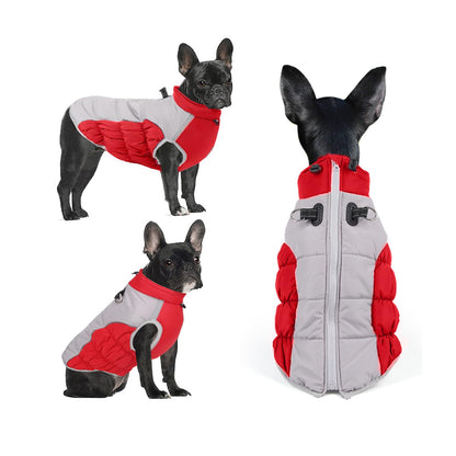 Warm Winter Dog Coat – Waterproof, Windproof, Ultra Cozy