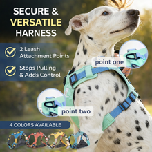 No Pull Dog Harness, Collar & Leash Set |Ideal for Training, Walking, Hiking