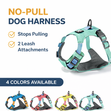 No Pull Dog Harness, Collar & Leash Set |Ideal for Training, Walking, Hiking
