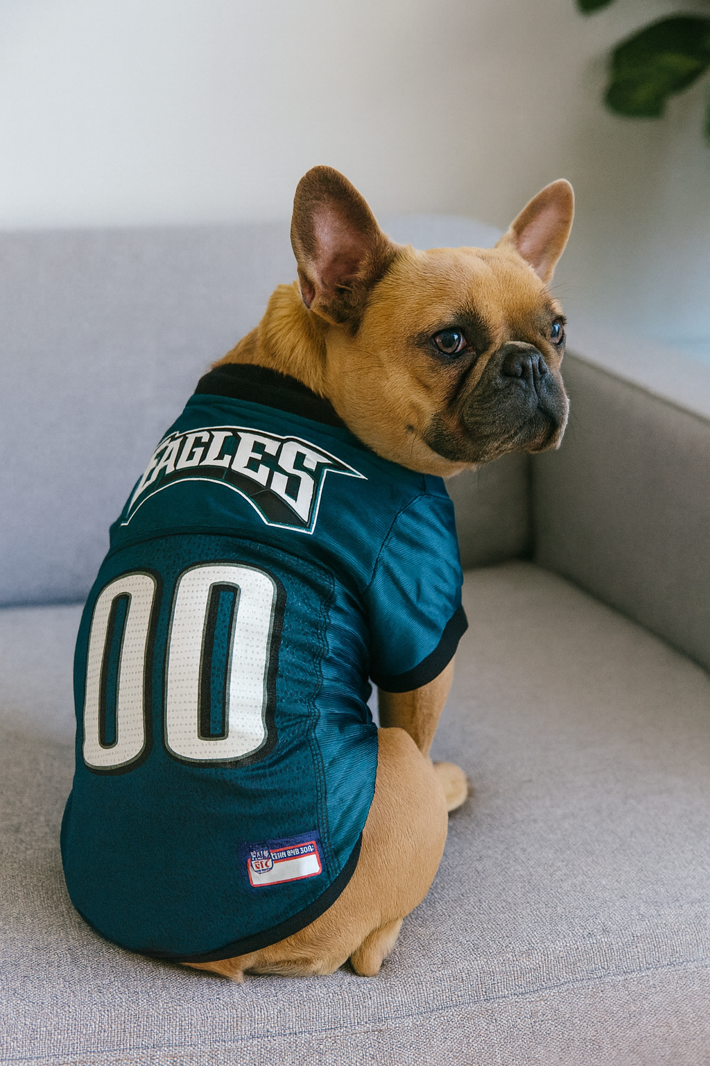 Philadelphia Eagles Pet Striped Jersey