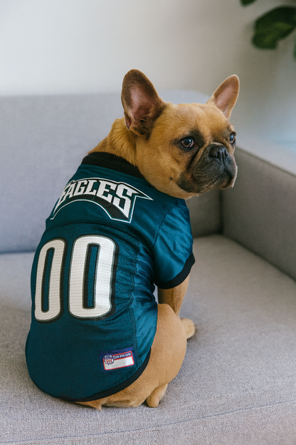 Philadelphia Eagles Pet Striped Jersey