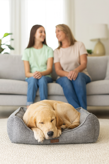 NANDOG Poplin Large Reversible Dog Bed