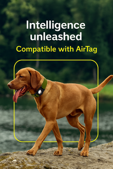 AirTag Dog Collar, IPX8 Waterproof Air Tag Dog Collar Holder