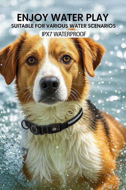 Anti-Loss Waterproof USB -Dog Collar – LED Safety Light