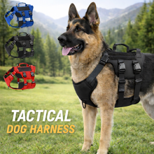 Tactical Dog Vest Harness, Outdoor Training Service Dog Vest Adjustable Built for Performance