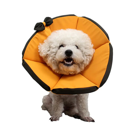 Dog Recovery Care Collar for Sick Pets