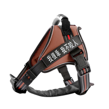 Dog Leash with Chest Strap Vest