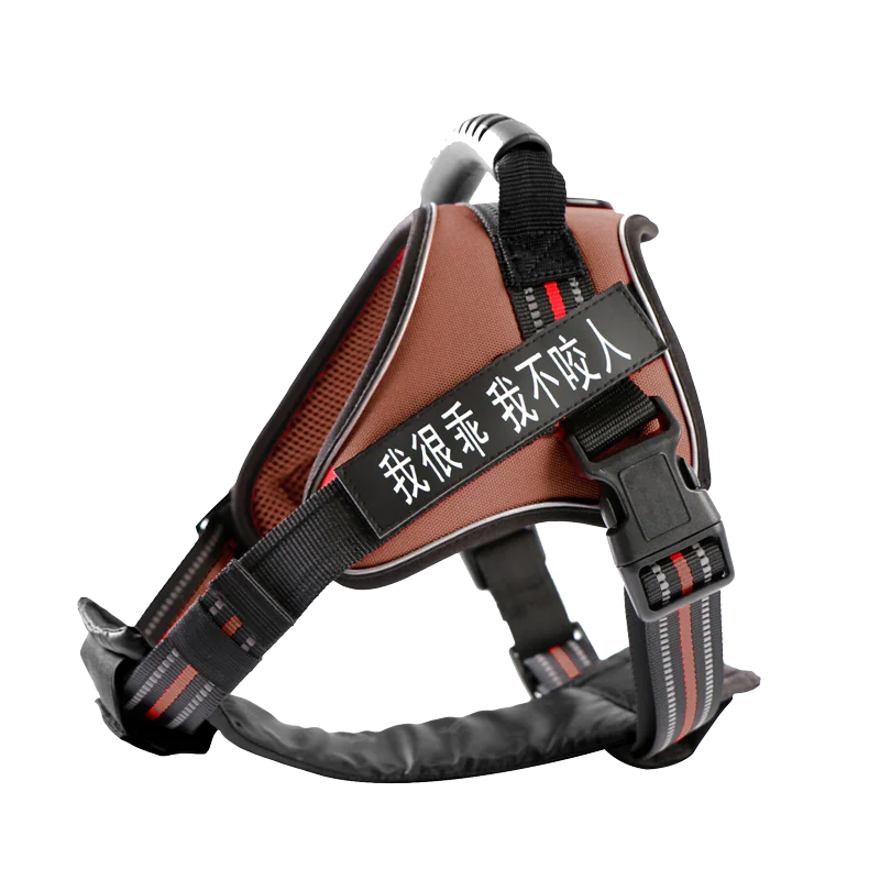 Dog Leash with Chest Strap Vest