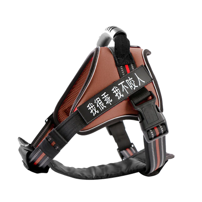 Dog Leash with Chest Strap Vest