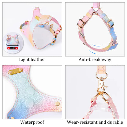 Adjustable Waterproof Leather Pet Harness for Small Cats