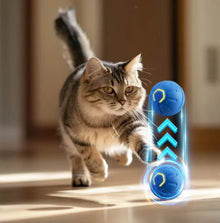 Cat Ball Interactive Smart Dog-Cat Toy Ball