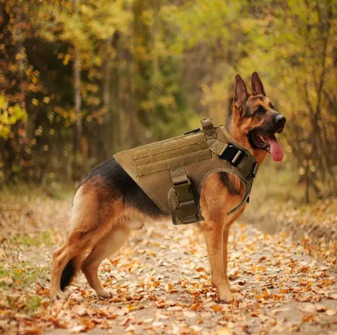 Tactical Dog Harness Vest For Large Dogs Adjustable Vest for Walking, Training