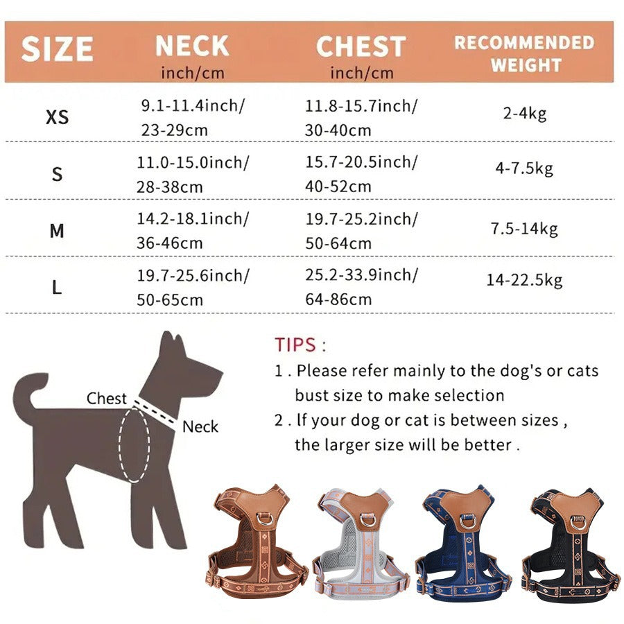 rabbitgoo Dog Harness  Leash Set, Step in Soft Light Puppy