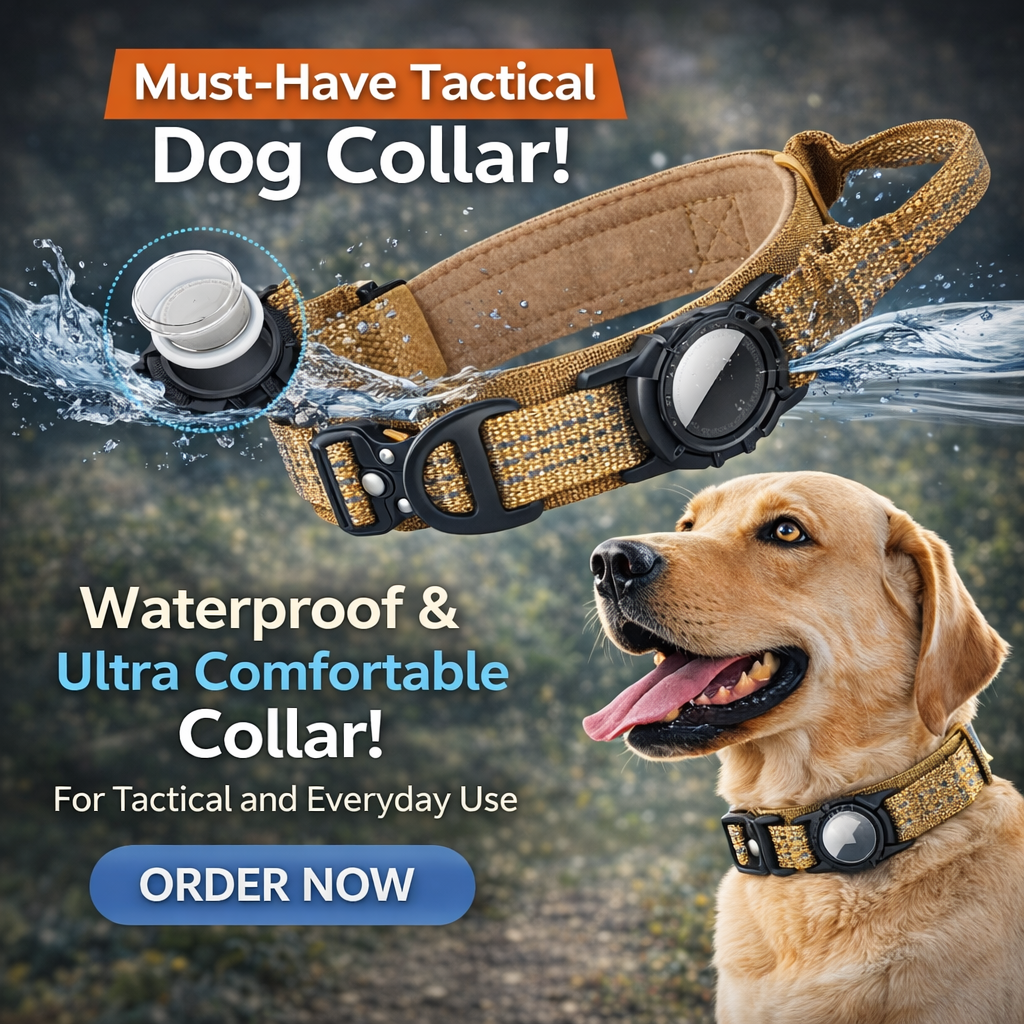 Dog Collar Airtag Protective Cover Pet Collar Waterproof
