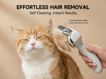 Pet Steam Brush for Dogs & Cats  Self Cleaning Deshedding Brush With Stainless Steel Blades