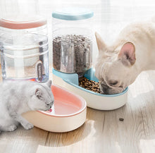 Pet Automatic Cat Feeder and Gravity Water Dispenser,Stainless Steel Bowls Set Large Capacity 5L Food Feeder and 3.5L Water Fountain